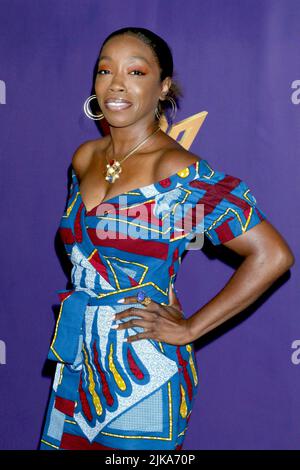 LOS ANGELES - JUL 31:  Estelle at the Heirs of Afrika 5th Annual International Women of Power Awards at the Sheraton Grand Hotel on July 31, 2022 in Los Angeles, CA Stock Photo