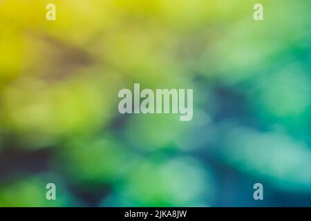 Beautiful gentle colored background with warm green hues blurred Stock Photo