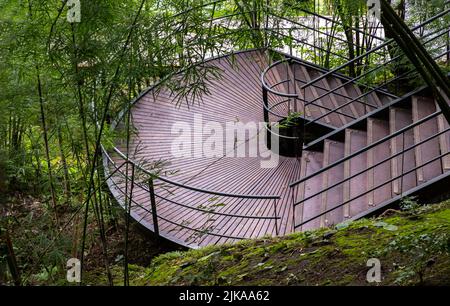 Wooden walking stairs with green steel railing and surrounding green trees in the bamboo forest. Nature landscape view, Selective focus. Stock Photo