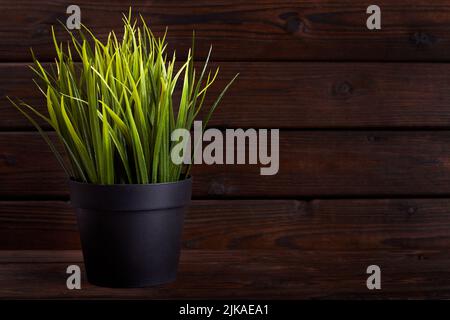 Artificial grass in plastic pot on wooden background with copy space Stock Photo