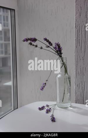 Lavender flowers in a glass container and a window Stock Photo