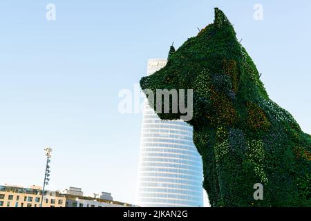 BILBAO, SPAIN-DECEMBER 18, 2021 : Puppy stands guard at Guggenheim Museum in Bilbao, Biscay, Basque Country, Spain. Landmarks. Dog sculpture of Stock Photo