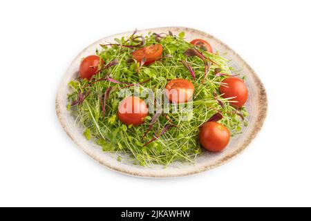 Vegetarian vegetables salad of tomatoes, celery, onion microgreen sprouts isolated on white background. Side view, close up. Stock Photo