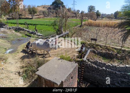 Old and traditional persian wather wheel (sakia) from Tarpal, Rajasthan, India. Stock Photo