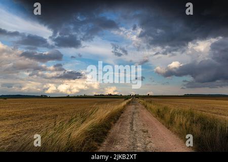Dramatic storm clouds over fields. Country landscape. Windy weather. Plain field against the background of dark sky. Stock Photo