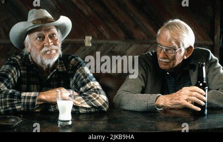 STRAIGHT STORY, Richard Farnsworth, Wiley Harker, 1999 Stock Photo - Alamy