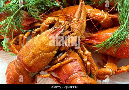 Delicious red boiled crayfishes on plate  close up Stock Photo
