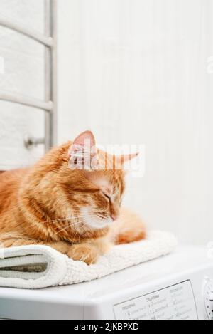 Cute ginger tabby cat sleeping on top of washing machine in bathroom closeup Stock Photo
