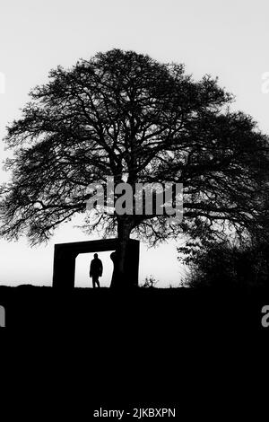 A vertical shot of a silhouette of a person under a huge tree on a cloudless day Stock Photo