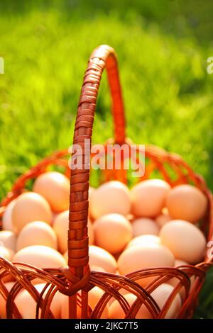 Springti Defocus eggs in basket on farm chicken background. Chicken eggs in ...