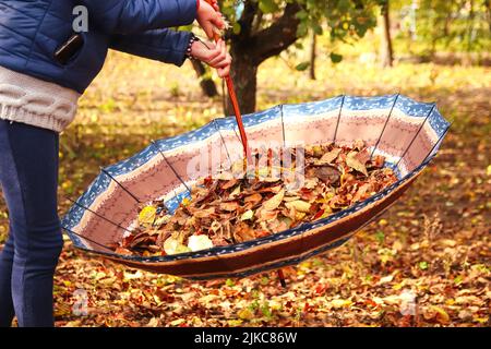 Defocus brown umbrella lying on yellow leafs in autumn day. Beautiful autumn background landscape. Carpet of fallen orange autumn leaves in park and b Stock Photo