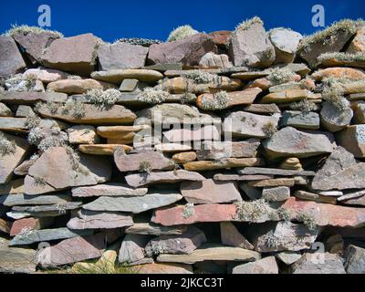 A closeup of a colourful dry stone wall on a sunny day. Clumps of beard moss lichen (usnea) are growing on the stones. Stock Photo