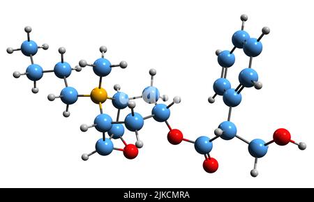 3D image of Hyoscine butylbromide skeletal formula - molecular chemical structure of scopolamine butylbromide isolated on white background Stock Photo