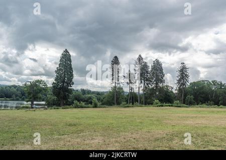 Staffordshire Lakeside long trees and river landscape, Stoke-on-Trent UK. Stock Photo