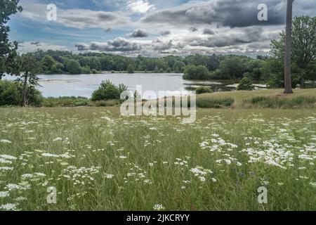 Staffordshire Lakeside long trees and river landscape, Stoke-on-Trent UK. Stock Photo