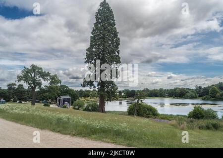 Staffordshire Lakeside long trees and river landscape, Stoke-on-Trent UK. Stock Photo