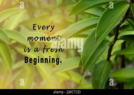 Motivational quote with fresh nature and blurred green leaf background - Every moment is a fresh beginning. Stock Photo