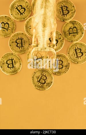 Bears walking over crypto coins against golden background. Market uptrend concept. Stock Photo