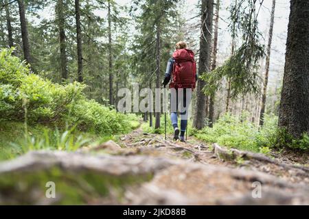 Wandern im Schwarzwald / Hiking in the black forest Stock Photo
