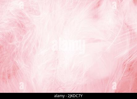Coral pink vintage,feather pattern texture Stock Photo