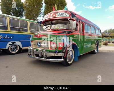 old green Mercedes Benz 1112 bus 1965-1974 in the street. Public passenger transport in Buenos Aires. Traditional fileteado ornaments. Copyspace. Stock Photo