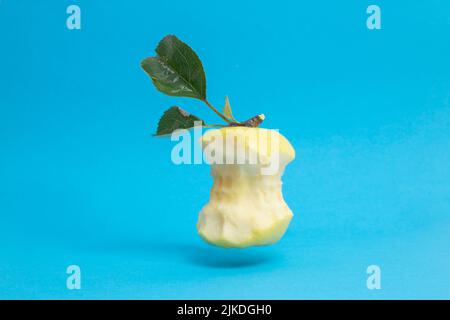 eaten golden delicious apple core with leaves, levitating on blue background Stock Photo