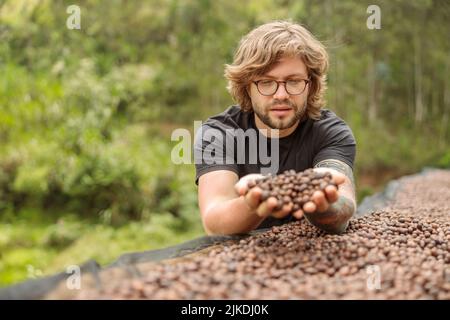 Young man in glasses showing coffee dried beans on hand Stock Photo