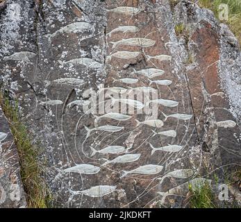 Multiple whales stone carvings in rock face in Qaqortoq, Greenland on 13 July 2022 Stock Photo