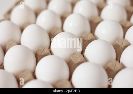 Close Up of raw chicken eggs in paper egg tray. Group of Fresh white Eggs in a cardboard cassette. Organic food from nature good for health Stock Photo