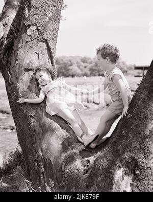 1940s LITTLE BOY AND GIRL HOLDING HANDS LEANING AGAINST V FORMATION OF A TREE TRUNK  - j135 HAR001 HARS JOY LIFESTYLE SATISFACTION FEMALES BROTHERS RURAL HEALTHINESS NATURE COPY SPACE AGAINST FRIENDSHIP FULL-LENGTH PERSONS CARING MALES TRUNK SIBLINGS SISTERS B&W SUMMERTIME V HAPPINESS DISCOVERY AND LOW ANGLE RECREATION FORMATION RELATIONSHIPS SIBLING CONNECTION CONCEPTUAL FRIENDLY STYLISH CRUSH INFATUATION PERSONAL ATTACHMENT AFFECTION CHILDHOOD EMOTION GROWTH JUVENILES RELAXATION SEASON TOGETHERNESS BLACK AND WHITE CAUCASIAN ETHNICITY HAR001 OLD FASHIONED Stock Photo