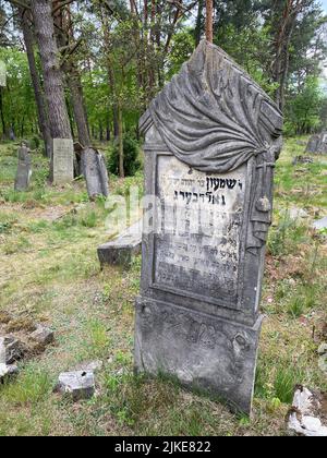 Ruins of the old Jewish cemetery in Otwock Poland cmentarz żydowski w Otwock headstones jewish graveyard jewish graveside beit kvarot jewish tombstone Stock Photo