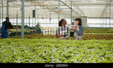 Two diverse women using laptop with agricultural management software to plan harvesting and delivery for organic lettuce. Farm workers in greenhouse holding portable computer checking online orders. Stock Photo
