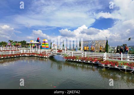 Taman Bunga Celosia Park, Bandungan, Semarang, Indonesia Stock Photo