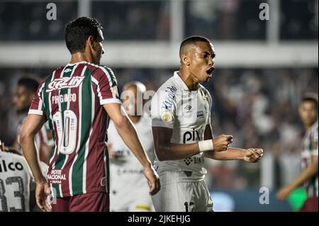 Santos, Brazil. 01st Aug, 2022. During Santos x Fluminense, a match valid for the 2022 Brazilian Championship, held at Vila Belmiro Stadium, located in the city of Santos (SP), this Monday (01). Credit: Nayra Halm/FotoArena/Alamy Live News Stock Photo