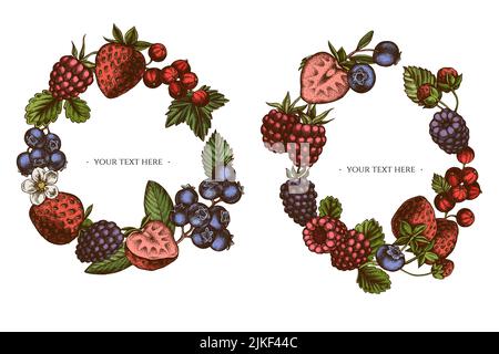 Wreath design with colored strawberry, blueberry, red currant, raspberry, blackberry Stock Vector