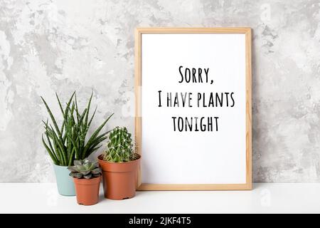 Wooden vertical frame with white blank card, and green houseplants flowers in pot on table on gray concrete wall background. Mockup Template for your Stock Photo