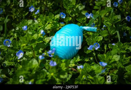 Blue Plastic nylon Easter egg among garden flowers Stock Photo