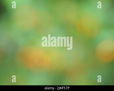 Abstract background from natural Bokeh for the celebration of the holiday season, Mix of white with green with orange and yellow circle Stock Photo