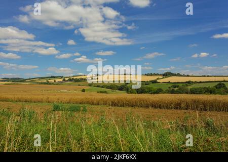 Beautiful, colourful countryside in summer time, Givendale, Yorkshire Wolds, UK, with agricultural crops, livestock, pastures and blue sky. Horizontal Stock Photo