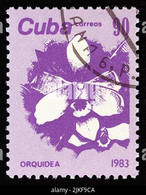 CUBA - CIRCA 1983: A stamp printed in Cuba from the 'Flowers' issue shows Orchid, circa 1983. Stock Photo