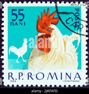 ROMANIA - CIRCA 1963: A stamp printed in Romania from the 'Domestic Poultry' issue shows White Leghorn, circa 1963. Stock Photo