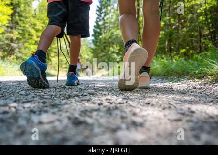 Low angle view of a caucasian mother and child walking and hiking on a footpath in green summer forest. Stock Photo