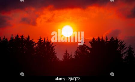 Red sky sunset over the pine trees forest in Norway Stock Photo