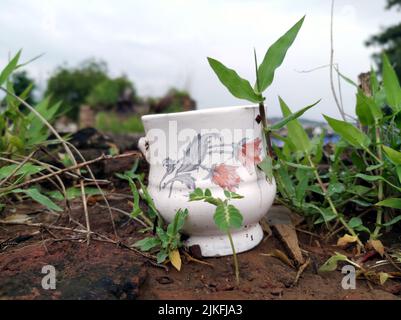 a broke mug put in dry mud Stock Photo