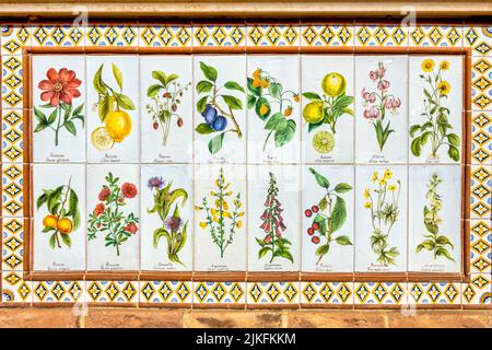 Tile work with medicinal herbs in Penne, Italy Stock Photo