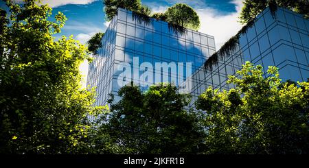 A modern eco-friendly office building in green forests - 3d render Stock Photo