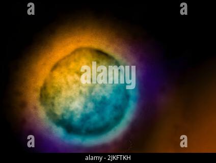 A Nipah virus particle budding from a cell used to grow viruses. Stock Photo