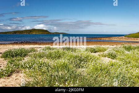 BIG SAND BEACH GAIRLOCH SCOTLAND THE RIVER SAND FLOWING PAST THE FLOWER COVERED SANDY BEACH Stock Photo