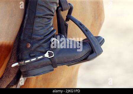 23.02.2022, Qatar, , Doha - Riding boot with spur in a stirrup. 00S220223D117CAROEX.JPG [MODEL RELEASE: NO, PROPERTY RELEASE: NO (c) caro images / Sor Stock Photo