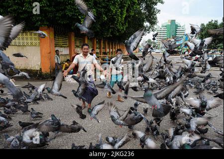 22.08.2013, Myanmar, , Yangon - A man shoos away a flock of pigeons from a street in the center of the former capital Yangon. 0SL130822D007CAROEX.JPG Stock Photo